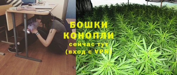 сатива Рославль