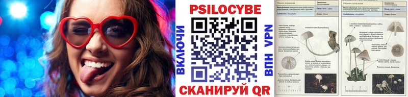 сколько стоит  мега ТОР  Галлюциногенные грибы Magic Shrooms  Невельск 